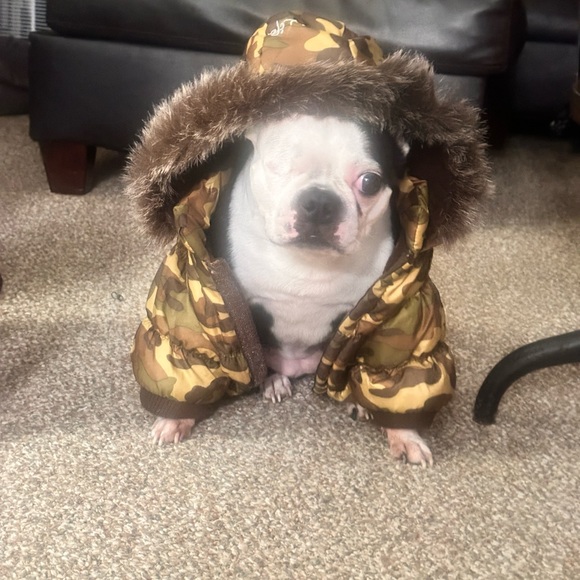 Pet Life Metallic Fashion Dog  Camouflage  Parka Coat with Removable Hood - Picture 7 of 7